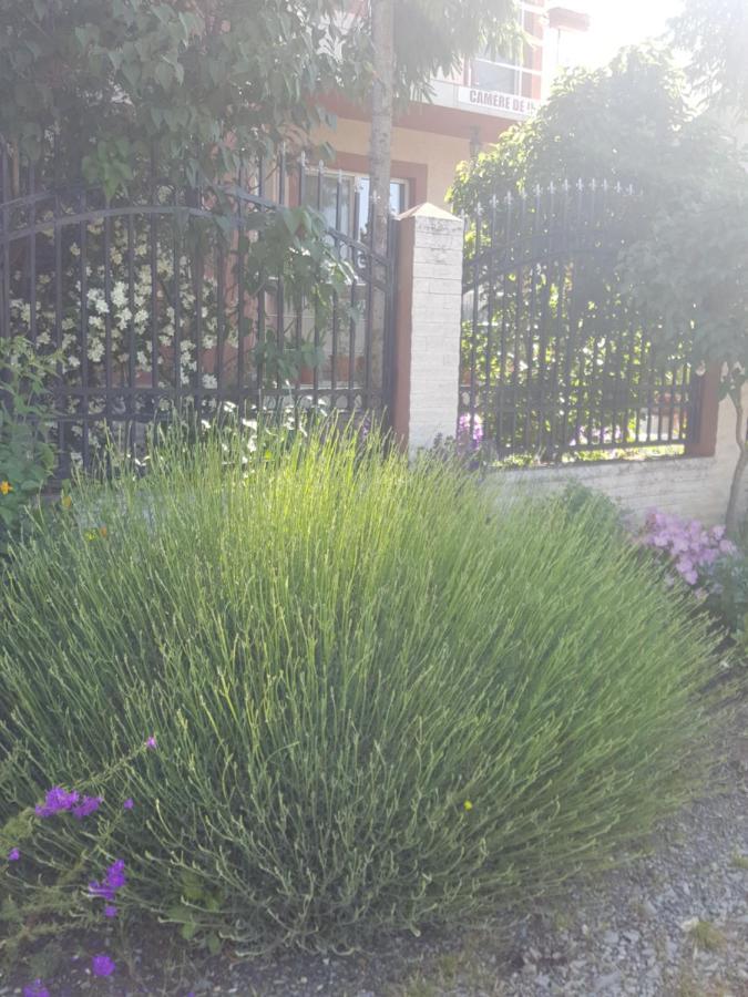 Guest house Vila Liz
