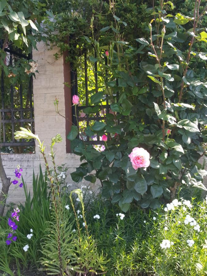 Vila Liz Guest house 3*