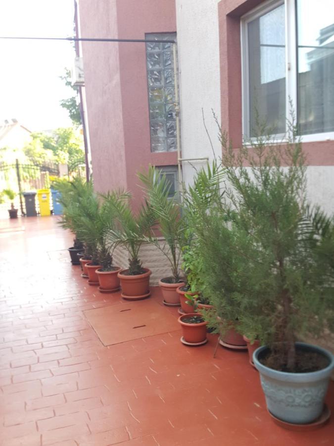 Vila Liz Guest house Eforie Nord