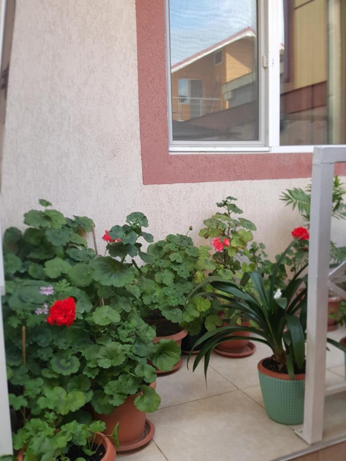Vila Liz 3*